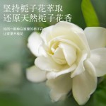Gardenia aromatherapy essential oil for indoor home use, long-lasting fragrance, hotel aromatherapy ornaments, toilet air freshen fragrance bottle