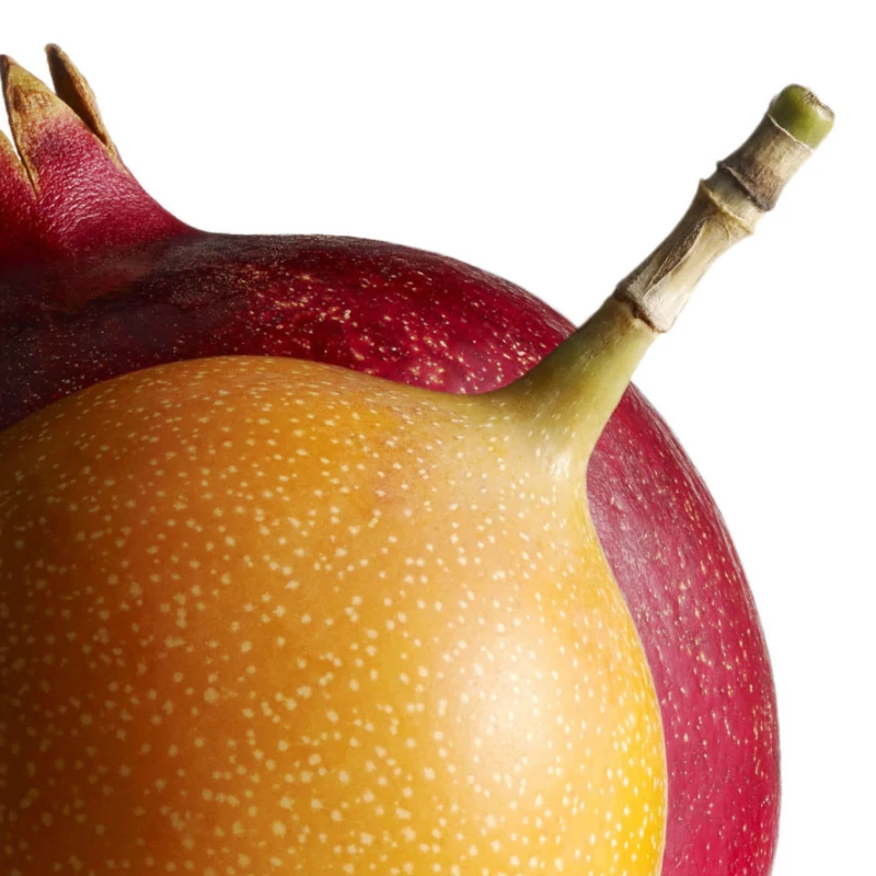fragrance image