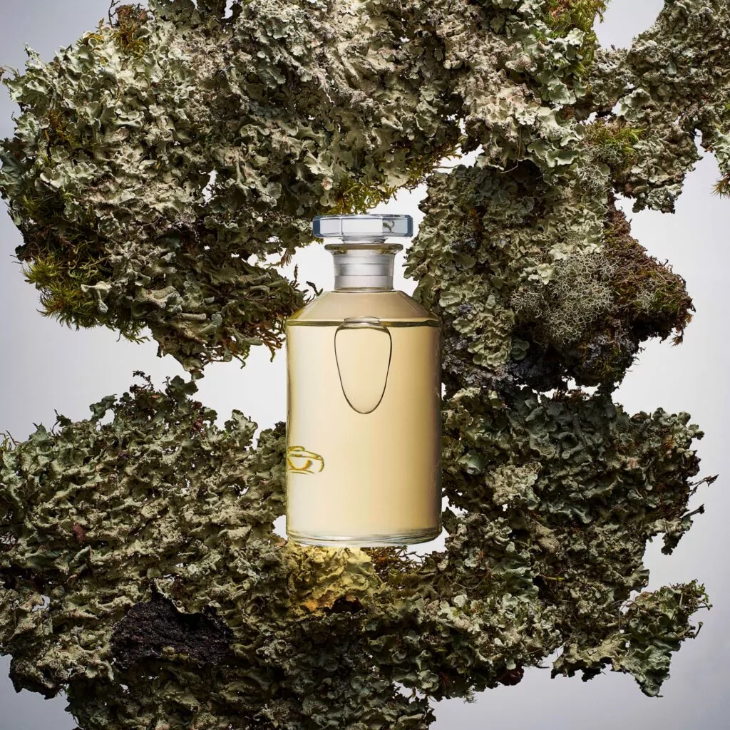 fragrance image