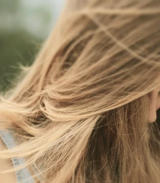 fragrance image
