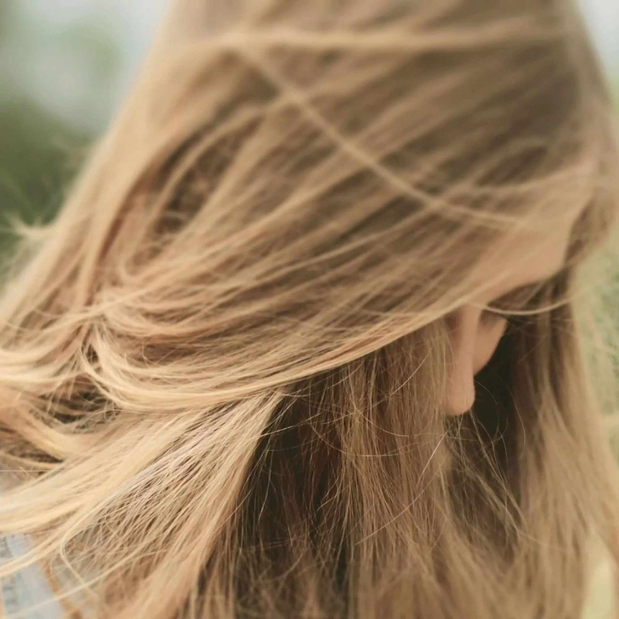 fragrance image