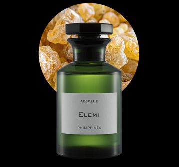 fragrance image