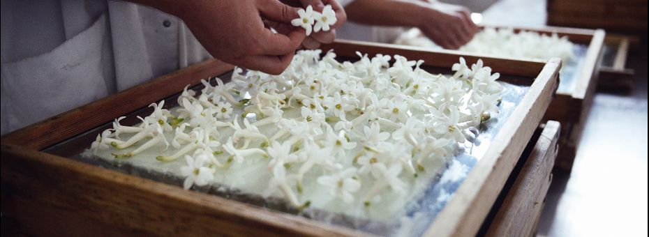 Notre savoir-faire
